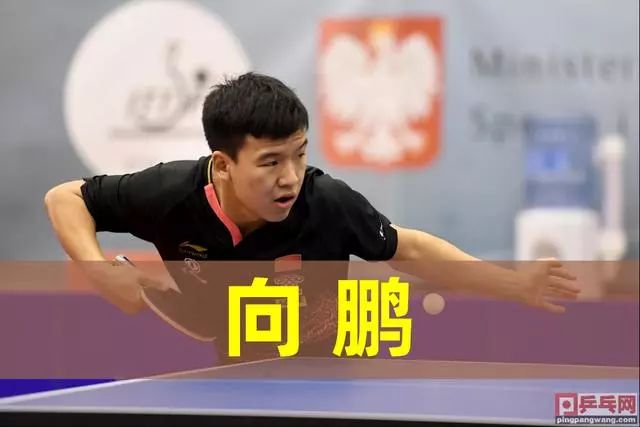 中表现更佳 中表现更佳